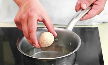 Применение яиц цесарки в народной медицине
