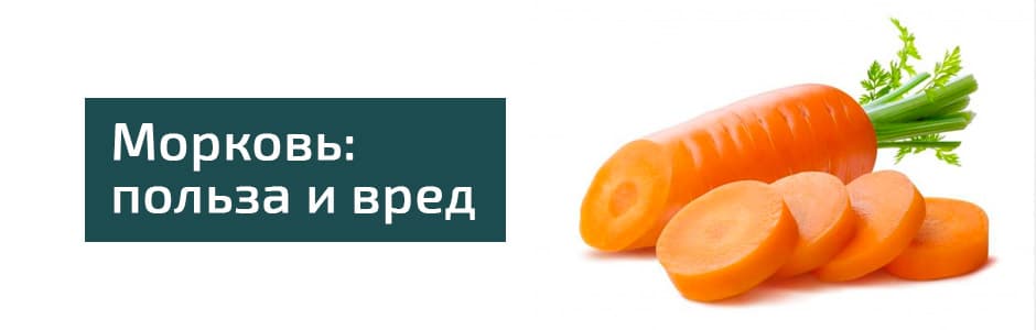 Морковь польза и вред для здоровья человека