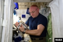 Astronaut Scott Kelly working in the International Space Station. (Courtesy NASA)