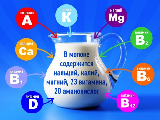 химический состав молока