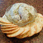 Smoked Fish and Mussel Dip!