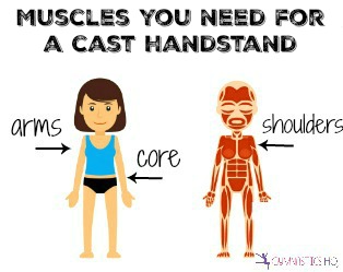 muscles you need for a cast handstand