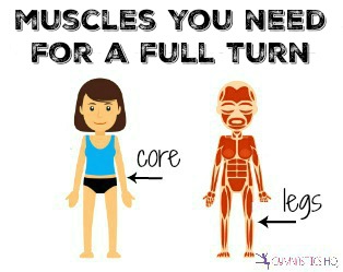 muscles you need for a full turn