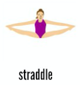 basic shapes in gymnastics straddle
