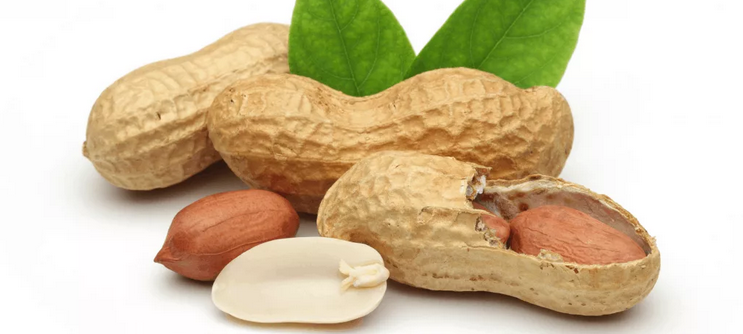 Никотиновая кислота (витамин в3, рр, ниацин) содержится в арахисе