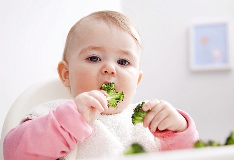 Многие дети любят капусту брокколи
