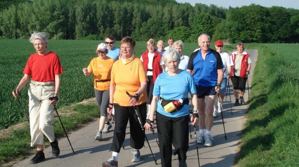 Скандинавская ходьба для пожилых людей