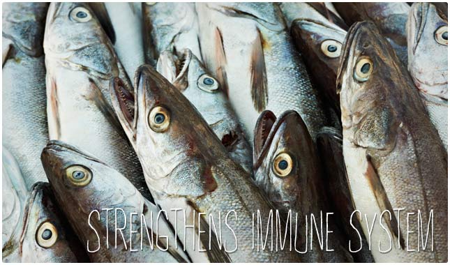 fish oil strengthens immune system