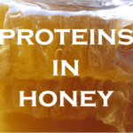 what are the proteins in honey