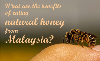 the benefits of eating natural honey from malaysia