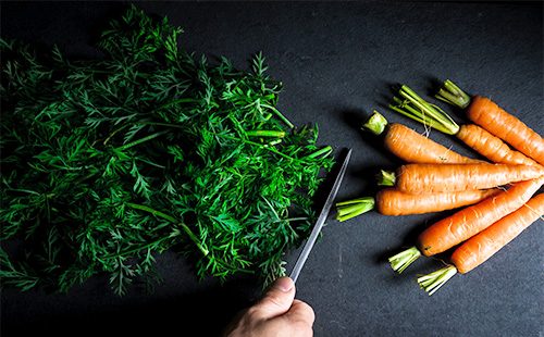 Морковь и ее ботва