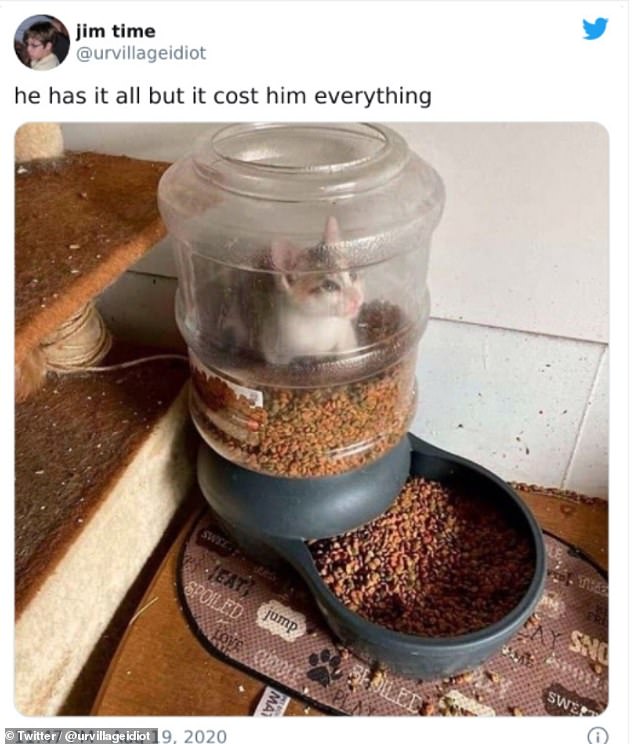 Twitter user @urvillageidiot, from Los Angeles, shared this hilarious image of their cat trapped in its own food dispenser. They wrote: 
