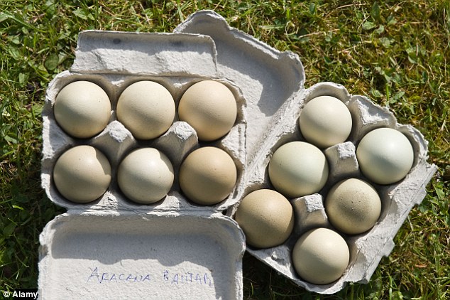 Bantam Araucana eggs for sale Farmers Market Leeds West Yorkshire