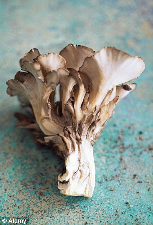 A study discovered that including maitake mushrooms in your diet will aid weight loss