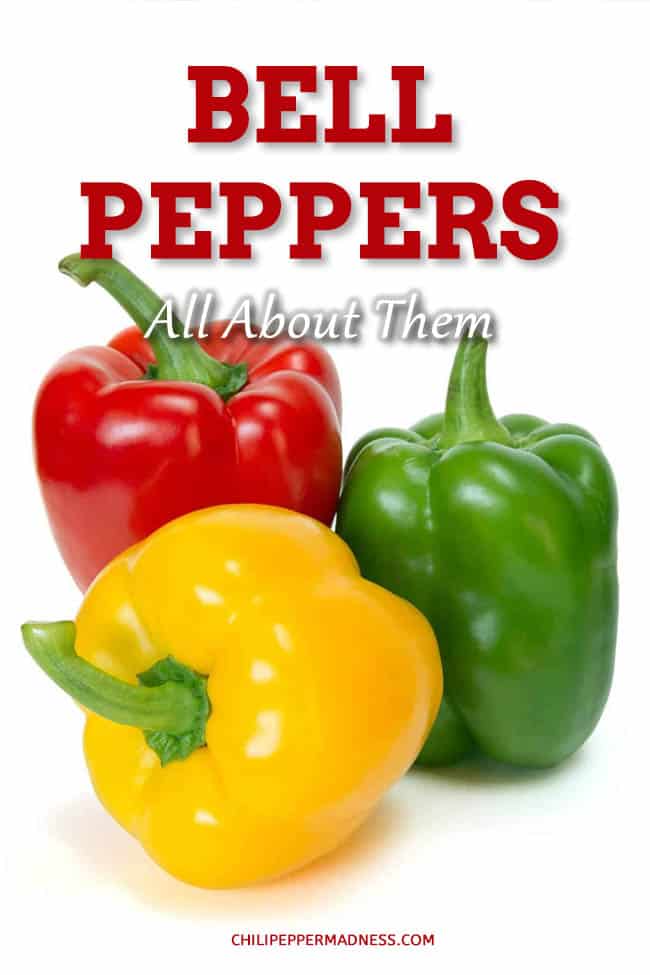 Bell Peppers: All About Them