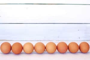 image of lined up eggs