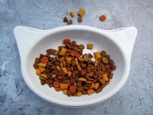 image of a bowl of dry feline food