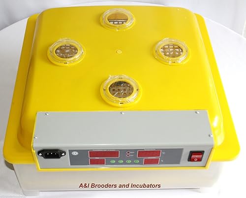 A&I 56Q Quail Egg Digital Incubator/Hatcher
