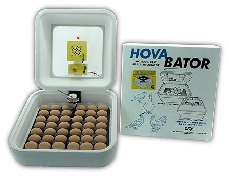Hova-Bator Preset 1588 Genesis Egg Incubator