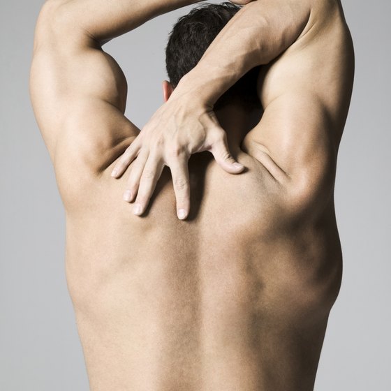 Toning your lats increases strength in your back.