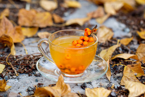 В чай можно добавить сок облепихи, свежие или замороженные ягоды: на вкус приятнее, витамина С больше