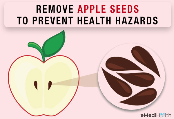 are apple seeds harmful