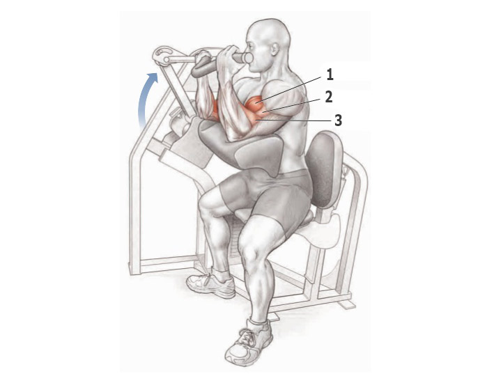Сгибания рук на тренажере Скотта
