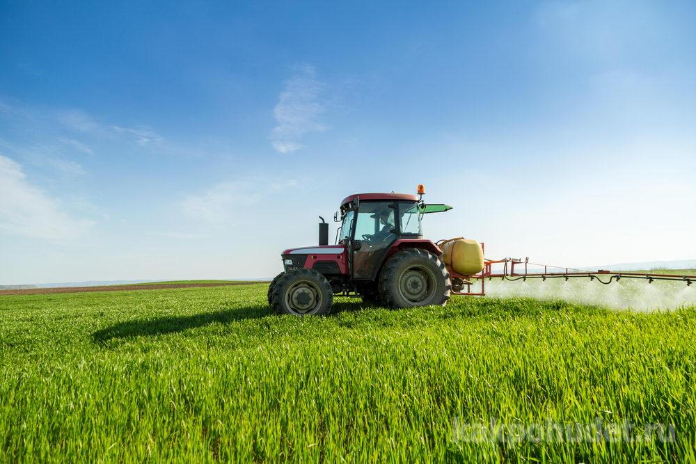 Вред химических пестицидов и удобрений