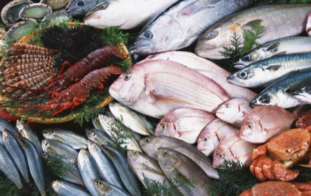 Рыба и морепродукты