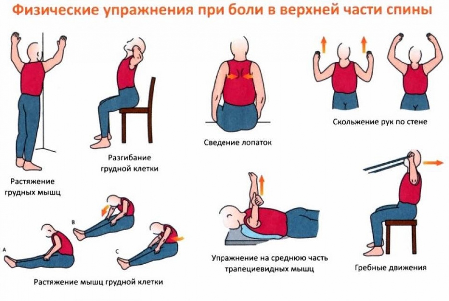 Упражнения отбол в спине