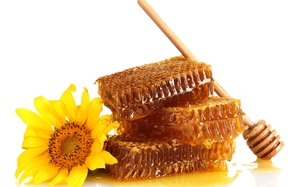 Как определить качественный мед подсолнечника