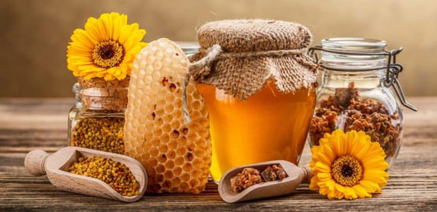 Какой мед полезен для потенции?