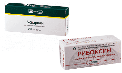 Для профилактики и лечения сердечно-сосудистых патологий могут использоваться медикаменты Рибоксин и Аспаркам