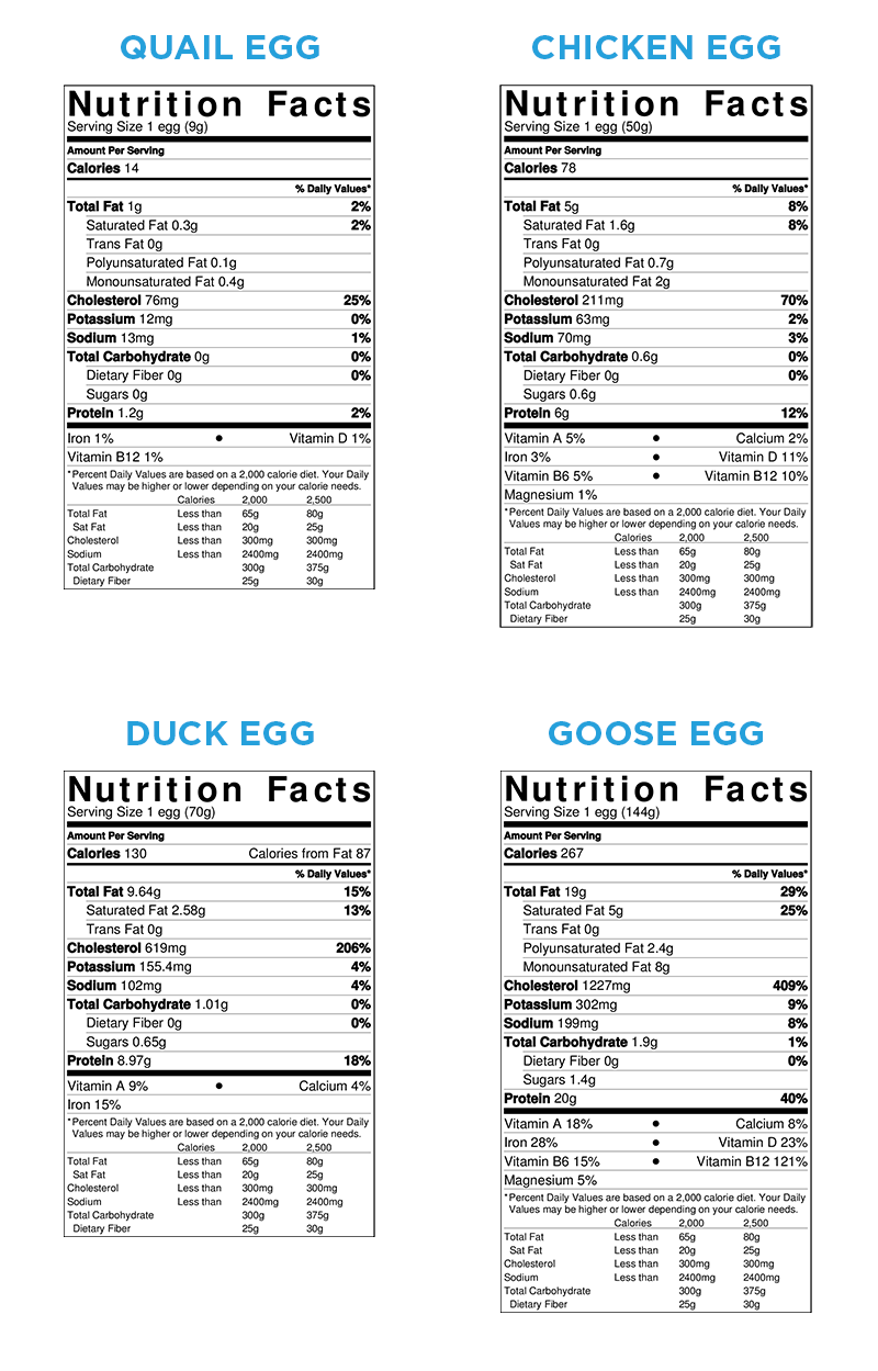 Egg Nutrition Facts