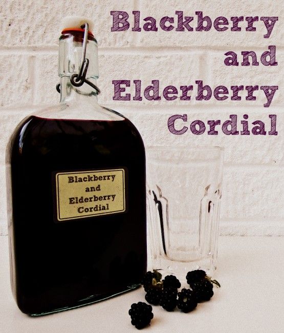 blackberry recipes for cordial