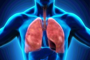 Опасность курения для органов дыхания