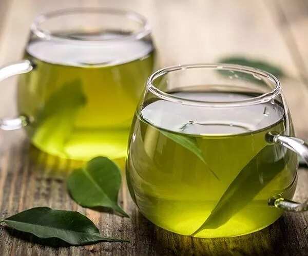 green soursop leaves tea