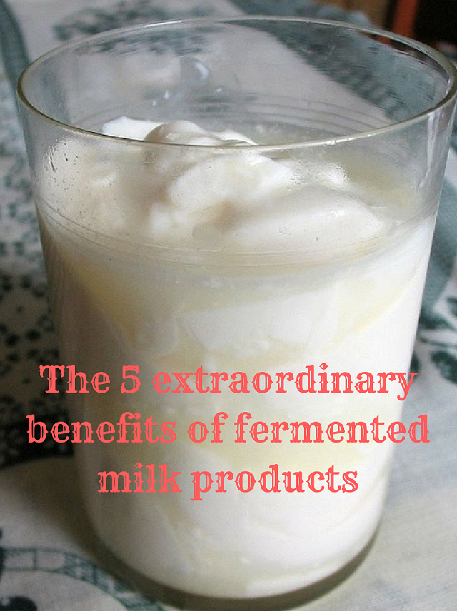 The 5 extraordinary benefits of fermented milk products