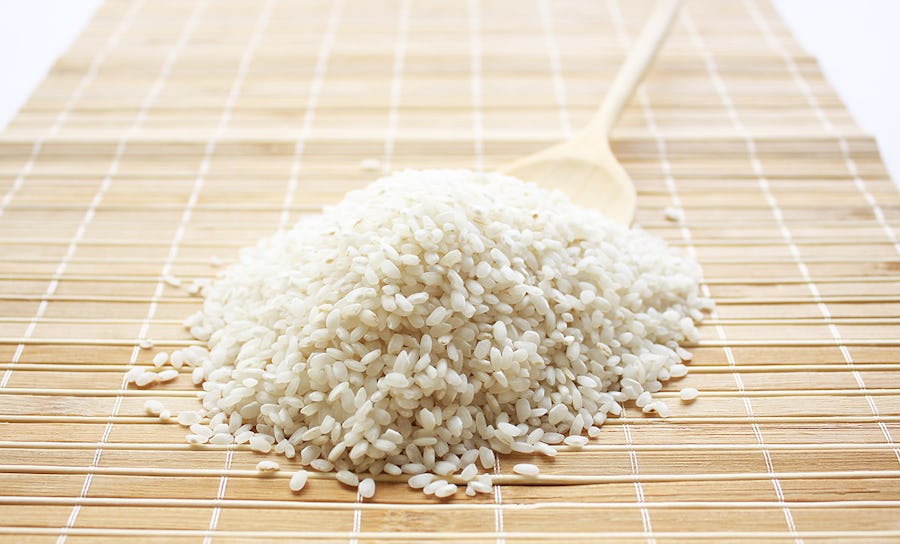 What are the Benefits of Rice Protein