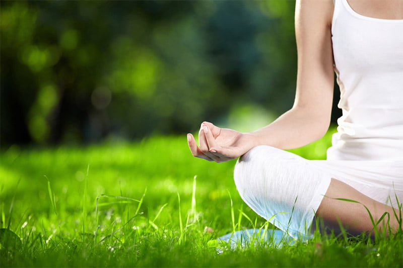 Meditation at the field