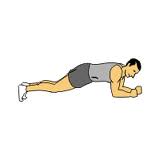 The plank exercise