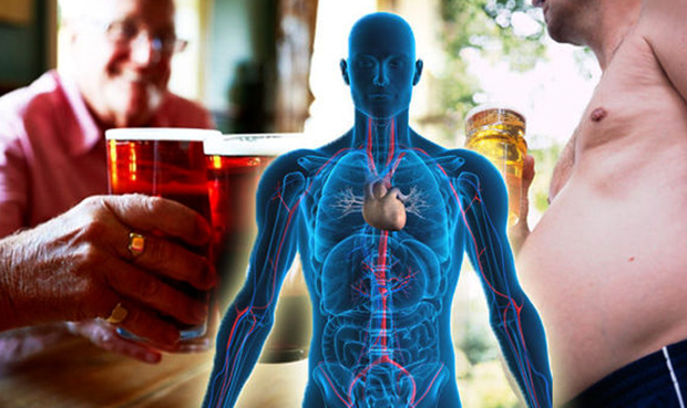 Влияние алкоголя на тело