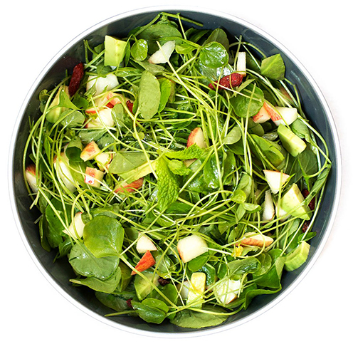 Салат из растения