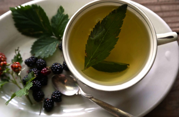 Свежий чай из листьев ежевики