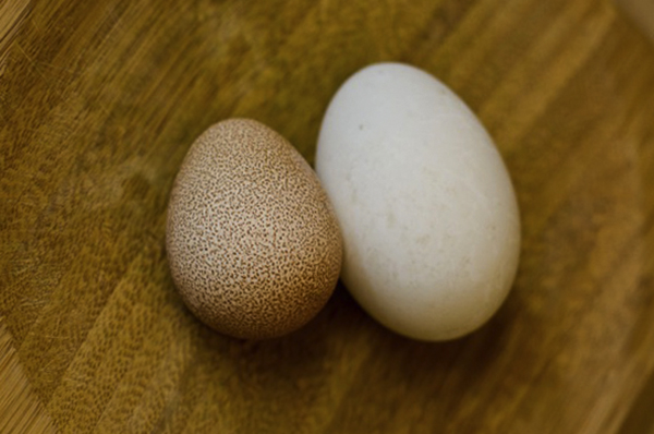 2 яйца цесарки