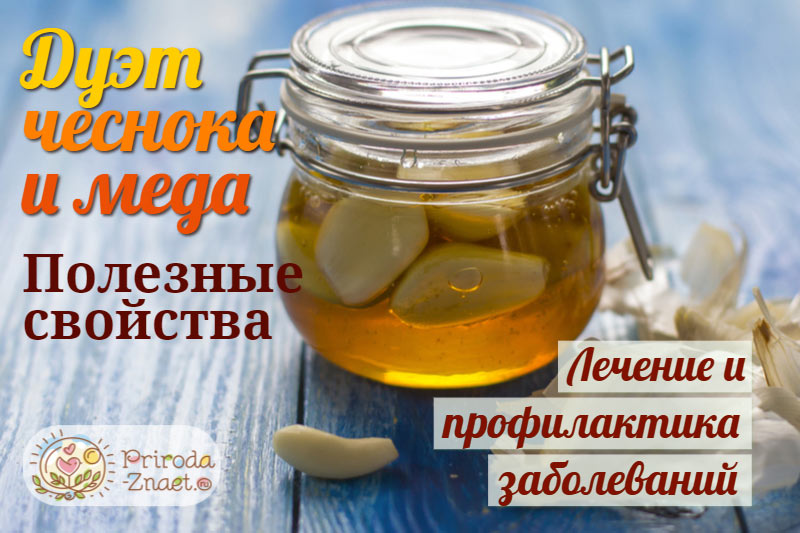 Чеснок и мед издавна применяются в народной медицине