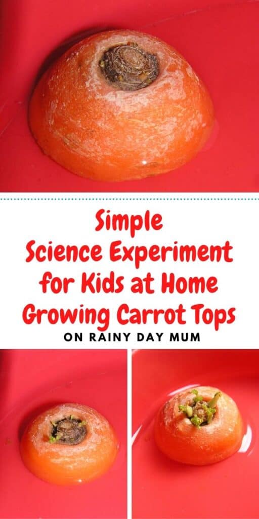 ssimcience experiment for kids at home