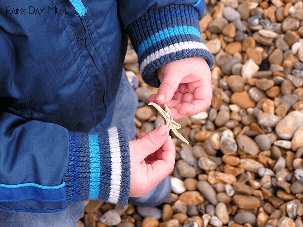 toddler holding a star fish from the strandline