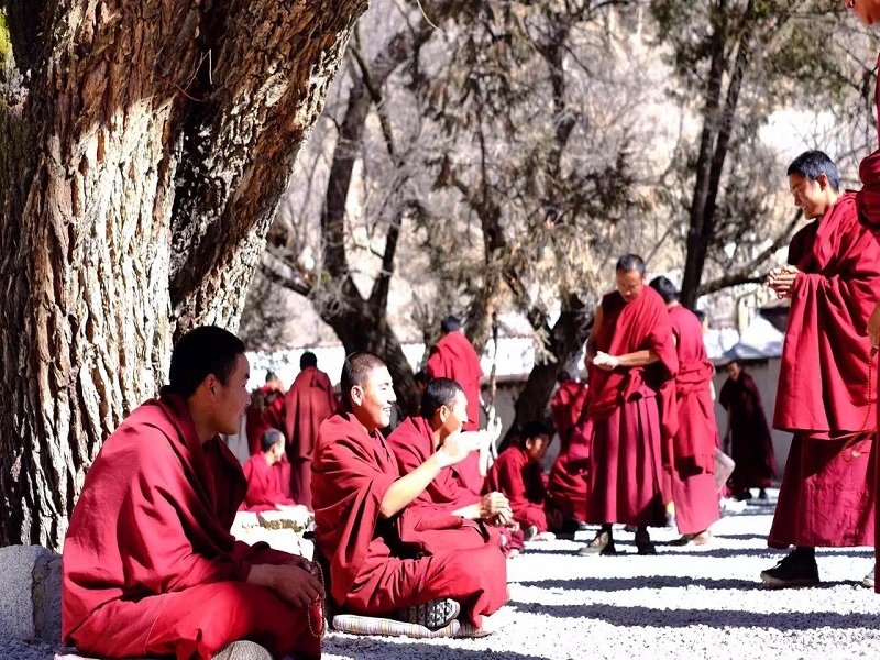 The daily life of Tibetan monks including the morning praying and afternoon praying