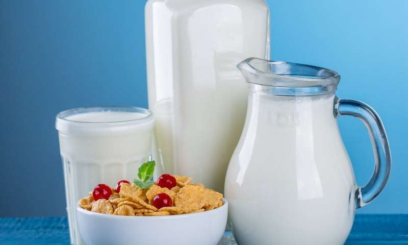 Dairy